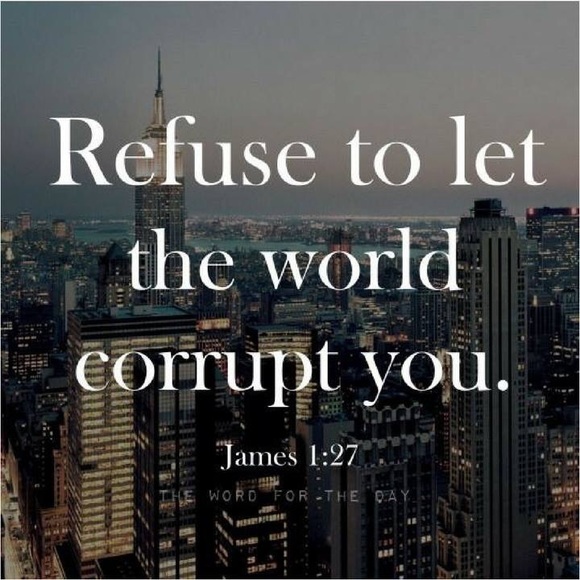 Meet your Posher, Penny - Picture 1 of 1